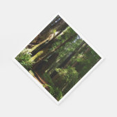 Redwoods und Ferns im Redwood-Nationalpark Serviette (Ecke)