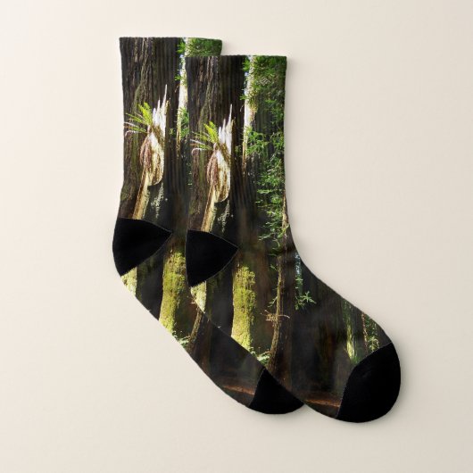 Redwoods und Ferns im Redwood-Nationalpark Socken (Paar)