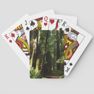 Redwoods und Ferns im Redwood-Nationalpark Spielkarten