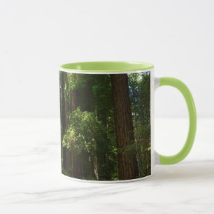 Redwoods und Ferns im Redwood-Nationalpark Tasse
