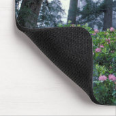 Redwoods und Rhododendren Mousepad (Ecke)