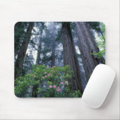 Redwoods und Rhododendren Mousepad (Mit Mouse)