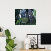 Redwoods und Rhododendren Poster (Heimbüro)