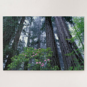 Redwoods und Rhododendren Puzzle