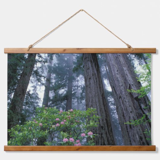 Redwoods und Rhododendren Wandteppich Mit Holzrahmen (Vorne)