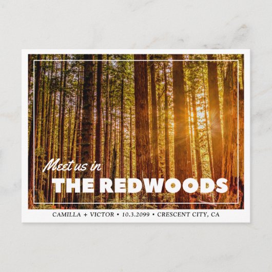 Redwoods Wedding the Date Postcard Postkarte (Vorderseite)