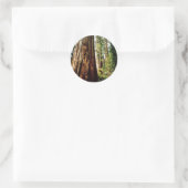 Redwoods - Yosemite Runder Aufkleber (Tasche)