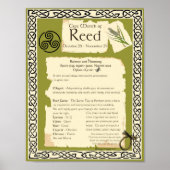 REED CELTIC SACRED TREM POSTER (Vorne)