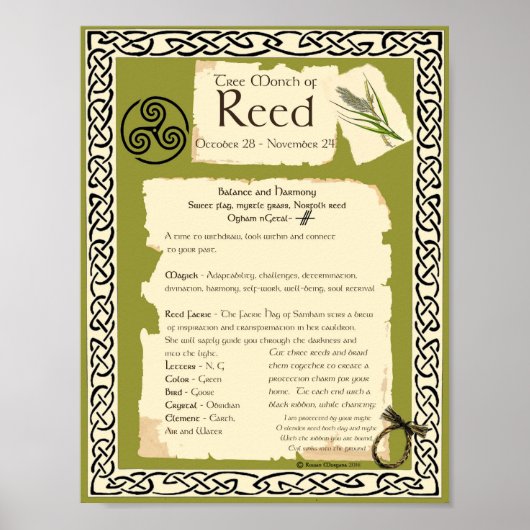 REED CELTIC SACRED TREM POSTER (Vorne)