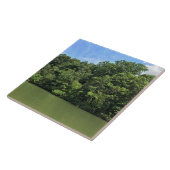 Reed Creek, Wytheville, Virginia Fliese (Seite)