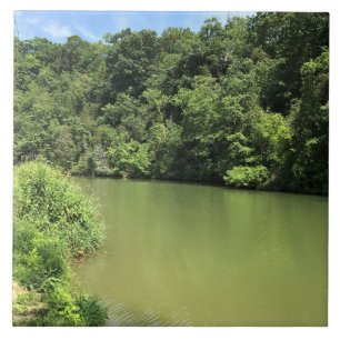 Reed Creek, Wytheville, Virginia Fliese