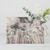 Reed Nature Foto Card (Stehend Vorderseite)