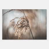 Reed Nature Foto Geschenkpapier Set (Vorderseite 3)