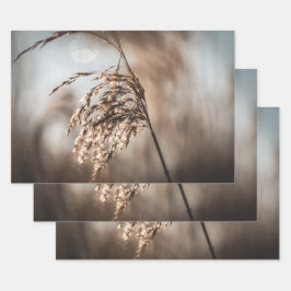 Reed Nature Foto Geschenkpapier Set