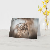 Reed Nature Foto Karte (Gelbe Blume)
