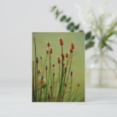 Reed Postkarte (Stehend Vorderseite)
