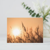 Reed Sunset Nature Foto Card (Stehend Vorderseite)