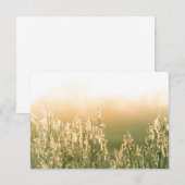 Reed Sunset Nature Foto Card (Vorne/Hinten)