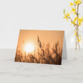 Reed Sunset Nature Foto Karte (Gelbe Blume)