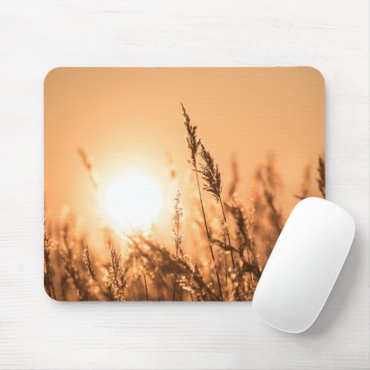 Reed Sunset Nature Foto Mousepad (Mit Mouse)