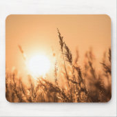 Reed Sunset Nature Foto Mousepad (Vorne)