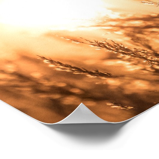 Reed Sunset Nature Foto Poster (Ecke)