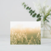Reed Sunset Nature Foto Postkarte (Stehend Vorderseite)