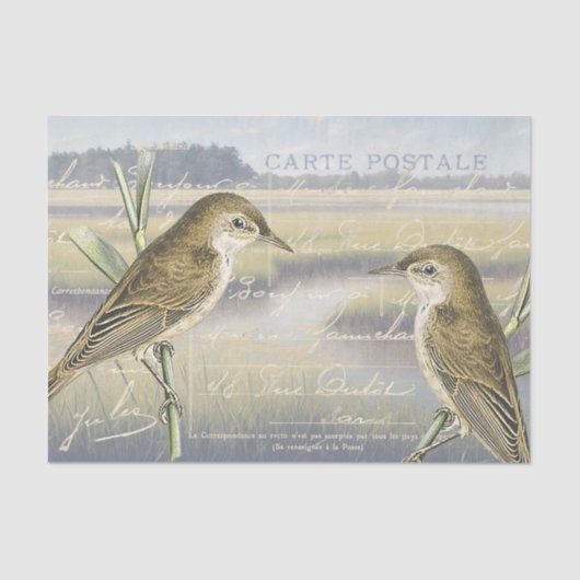 Reed Warbler Bird Marsh Französisch Script Decoupa Seidenpapier (Vorderseite)