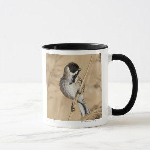 Reedflagge (Emberiza schoeniclus) hockte herein Tasse