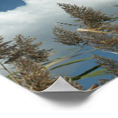 Reeds Poster (Ecke)