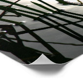Reeds Reflection Zen Fotografie Poster (Ecke)