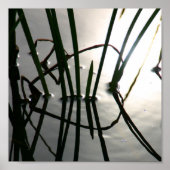 Reeds Reflection Zen Fotografie Poster (Vorne)
