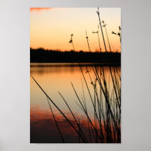 Reeds und Lakeside Reflektion bei Sonnenuntergang