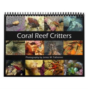 Reef Critters Wall Calendar von J.W. Vater. Kalender