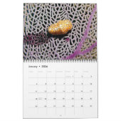 Reef Critters Wall Calendar von J.W. Vater. Kalender (Jan 2026)