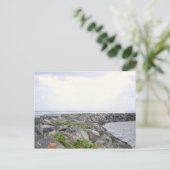 Reef_Dorado PR Postkarte (Stehend Vorderseite)