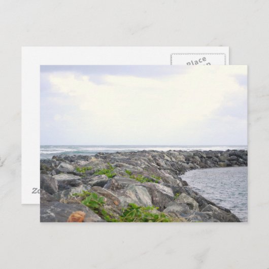 Reef_Dorado PR Postkarte (Vorne/Hinten)