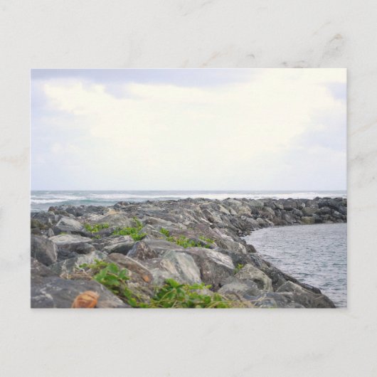 Reef_Dorado PR Postkarte (Vorderseite)