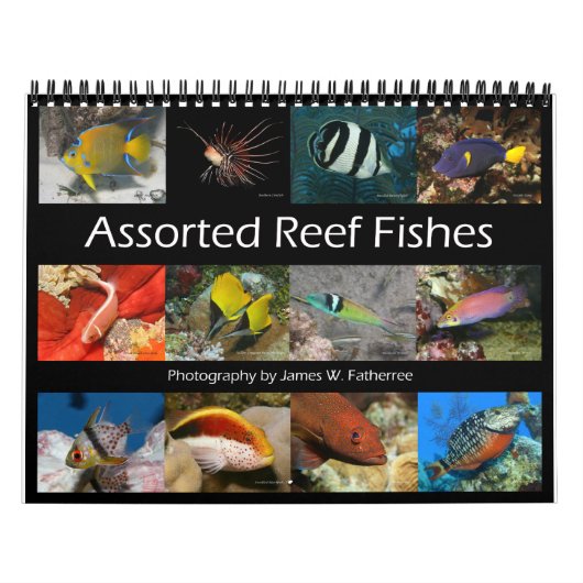 Reef Fisches Wall Calendar 2 von J.W. Vater Kalender (Titelbild)