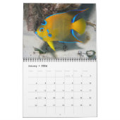Reef Fisches Wall Calendar 2 von J.W. Vater Kalender (Jan 2026)
