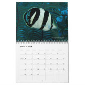 Reef Fisches Wall Calendar 2 von J.W. Vater Kalender (Mär 2026)