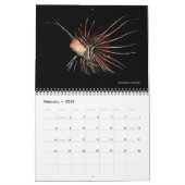 Reef Fisches Wall Calendar 2 von J.W. Vater Kalender (Feb 2026)