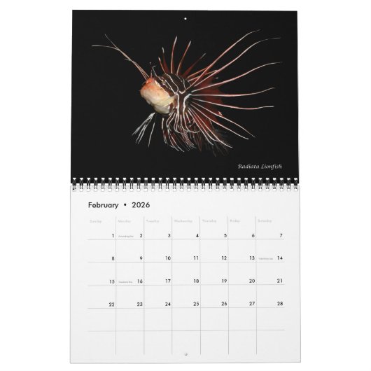 Reef Fisches Wall Calendar 2 von J.W. Vater Kalender (Feb 2026)