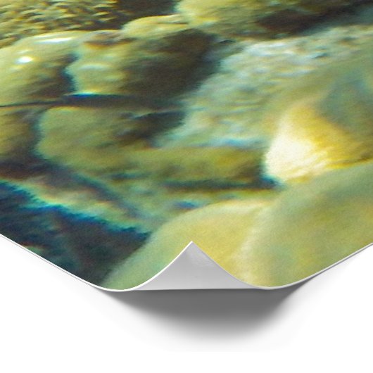 Reef Fish Poster (Ecke)