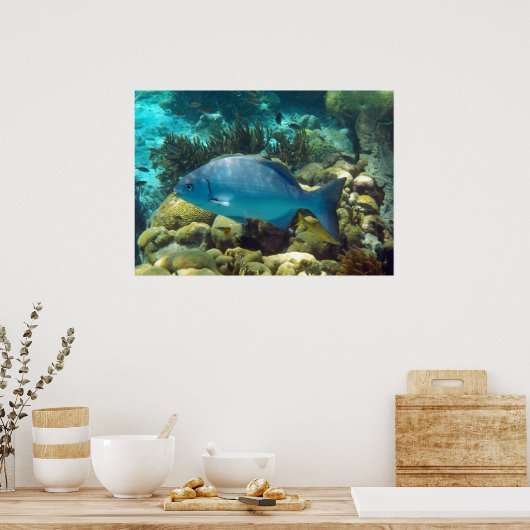 Reef Fish Poster (Küche)