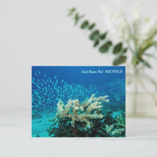 Reef Postcard Postkarte (Stehend Vorderseite)