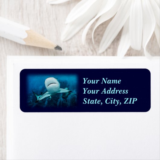 Reef Shark Address Label (Insitu)
