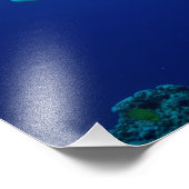 Reef Shark Foto Print (Ecke)
