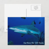 Reef Shark Postcard Postkarte (Vorne/Hinten)