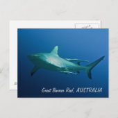 Reef Shark Postcard Postkarte (Vorne/Hinten)